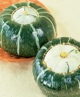 Buttercup Squash